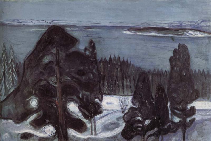 Edvard Munch Winter night oil painting picture